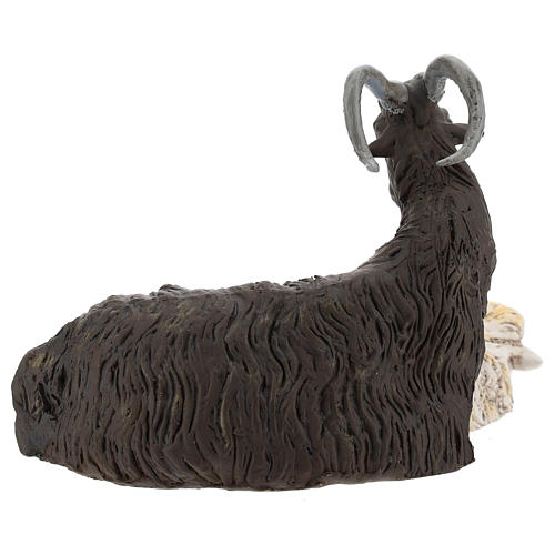 Coppia caprone e pecora per presepe Napoli stile 700 di 35 cm 4