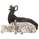 Coppia caprone e pecora per presepe Napoli stile 700 di 35 cm s1