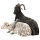 Coppia caprone e pecora per presepe Napoli stile 700 di 35 cm s3