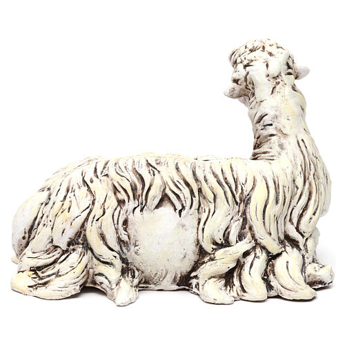 Pecorella rivolta a sinistra in terracotta per presepe Napoli stile 700 di 35 cm 4