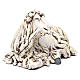 White Sheep looking left in terracotta for Neapolitan nativity style 700s of 35 cm s3