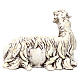 White Sheep looking left in terracotta for Neapolitan nativity style 700s of 35 cm s4