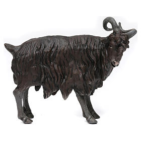 Billy Goat standing in Neapolitan nativity style 700s of 35 cm
