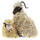 Billy goat with sheep 18th-century style Neapolitan Nativity Scene 35 cm s1