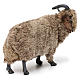 Caprone con lana per presepe napoletano stile '700 di 35 cm s3