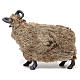Caprone con lana per presepe napoletano stile '700 di 35 cm s4