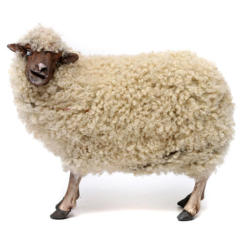 Pecorella in piedi con lana per presepe Napoli stile 700 di 35 cm 1