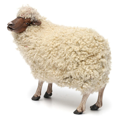 Pecorella in piedi con lana per presepe Napoli stile 700 di 35 cm 2