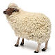 Young Sheep standing in wool for Neapolitan nativity style 700 of 35 cm s2