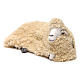 Liegendes Schaf mit Wolle 35cm neapolitanische Krippe s2