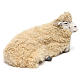 Liegendes Schaf mit Wolle 35cm neapolitanische Krippe s3