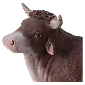 Belén napolitano: Buey 30 cm de altura media belén napolitano terracota Belén napolitano: Buey 30 cm de altura media belén napolitano terracota