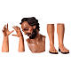 Cabeça mãos pés São José para presépio com figuras de 35 cm altura média s1