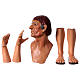 Körperteile-Set aus Terrakotta, Schäfer, für 35 cm Krippe s1