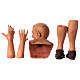 Körperteile-Set aus Terrakotta, Schafhirte, für 35 cm Krippe s6