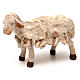 STOCK Sheep in terracotta, Neapolitan Nativity scene 18 cm s1