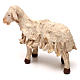 STOCK Sheep in terracotta, Neapolitan Nativity scene 18 cm s2