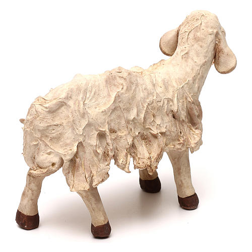 STOCK Sheep figurine in terracotta, 18 cm Neapolitan nativity 3