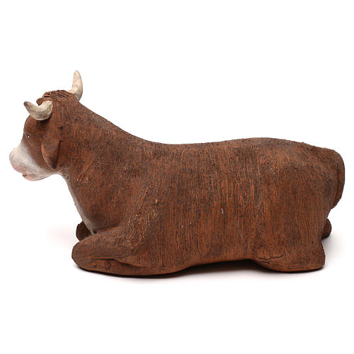 STOCK Ox in terracotta, 18 cm Neapolitan nativity 3