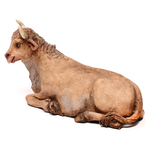 STOCK Ox in terracotta, 35 cm Neapolitan nativity extra finished 2