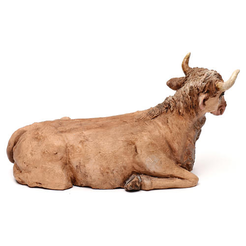 STOCK Ox in terracotta, 35 cm Neapolitan nativity extra finished 3