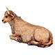 STOCK Ox in terracotta, 35 cm Neapolitan nativity extra finished s2