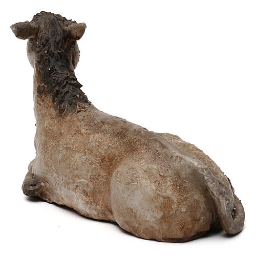 STOCK Donkey in terracotta, 35 cm Neapolitan nativity extra finished 3