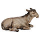 STOCK Donkey in terracotta, 35 cm Neapolitan nativity extra finished s1