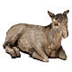 STOCK Donkey in terracotta, 35 cm Neapolitan nativity extra finished s2