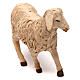 STOCK Mouton tête à gauche crèche napolitaine 14 cm s2