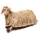 STOCK Sheep lying down, 14 cm Neapolitan nativity s1