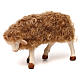 STOCK Sheep looking left, Neapolitan Nativity scene 30 cm s1