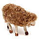 STOCK Sheep looking left, Neapolitan Nativity scene 30 cm s2