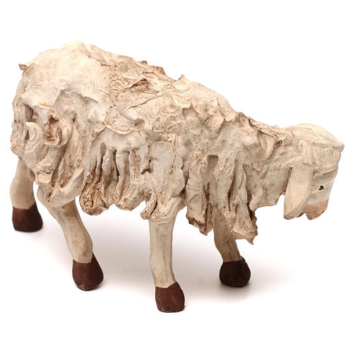 STOCK Mouton terre cuite tête à gauche crèche napolitaine 30 cm 2