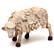 STOCK Mouton terre cuite tête à gauche crèche napolitaine 30 cm s1