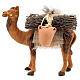 Camelo de joelhos com carga para presépio napolitano com figuras de 12 cm de altura média s6