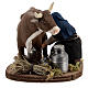 Pastor ordenhando vaca para presépio napolitano com figuras de altura média 10 cm s6