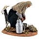 Goat milker Neapolitan nativity scene figurine 13 cm s5