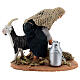 Pastor ordenhando cabra para presépio napolitano com figuras de altura média 13 cm s1