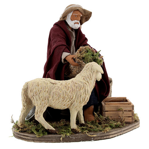 Pasterz i owca ruchoma figurka, szopka z Neapolu 14 cm 4