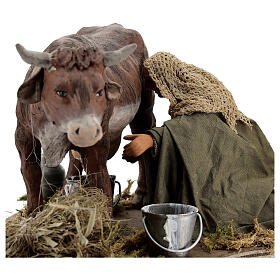 Man milking cow animated statue, 14 cm Naples