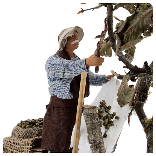 Mężczyzna zbierający oliwki, ruchoma figurka do szopki z Neapolu 14 cm 2
