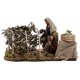 Woman harvesting grapes Neapolitan Nativity scene movement 12 cm