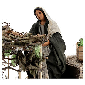 Grapes harvesting Neapolitan Nativity scene movement 14 cm