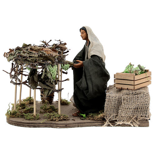 Grapes harvesting Neapolitan Nativity scene movement 14 cm 1