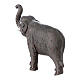 Kleiner Elefant aus Terrakotta fűr neapolitanische Krippe, 7 cm s2