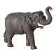 Jovem elefante terracota para presépio napolitano com figuras de 7 cm s3