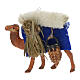 Harnessed camel for Wise Men, Neapolitan Nativity Scene with characters of 4 cm s1