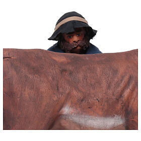 Homem ordenhando uma vaca para presépio napolitano com figuras de 24 cm