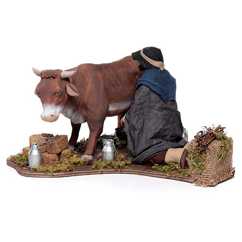 Man milking cow animated Neapolitan nativity scene 24 cm 3